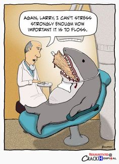 The Importance of Flossing!